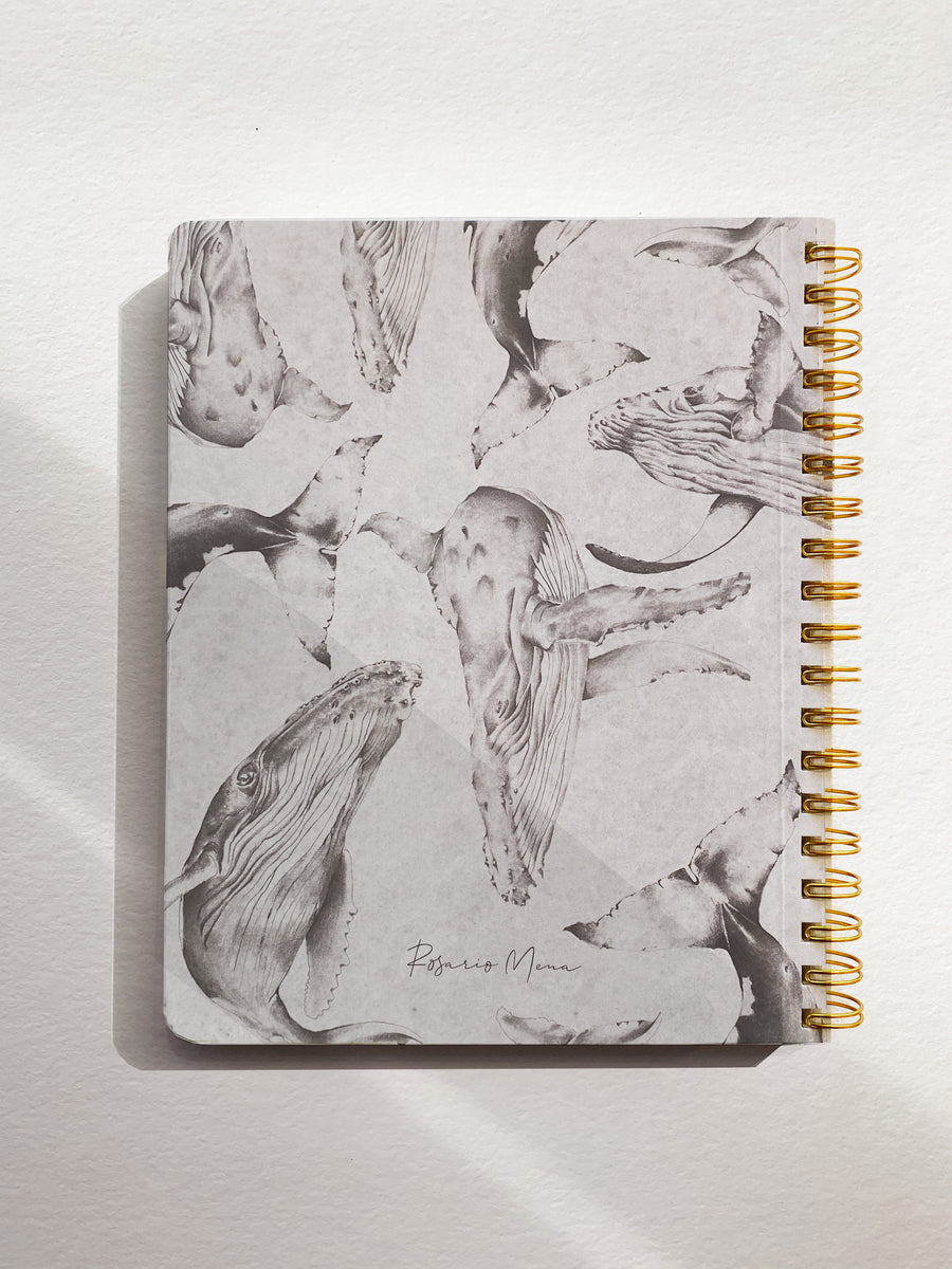 Cuaderno El Salto